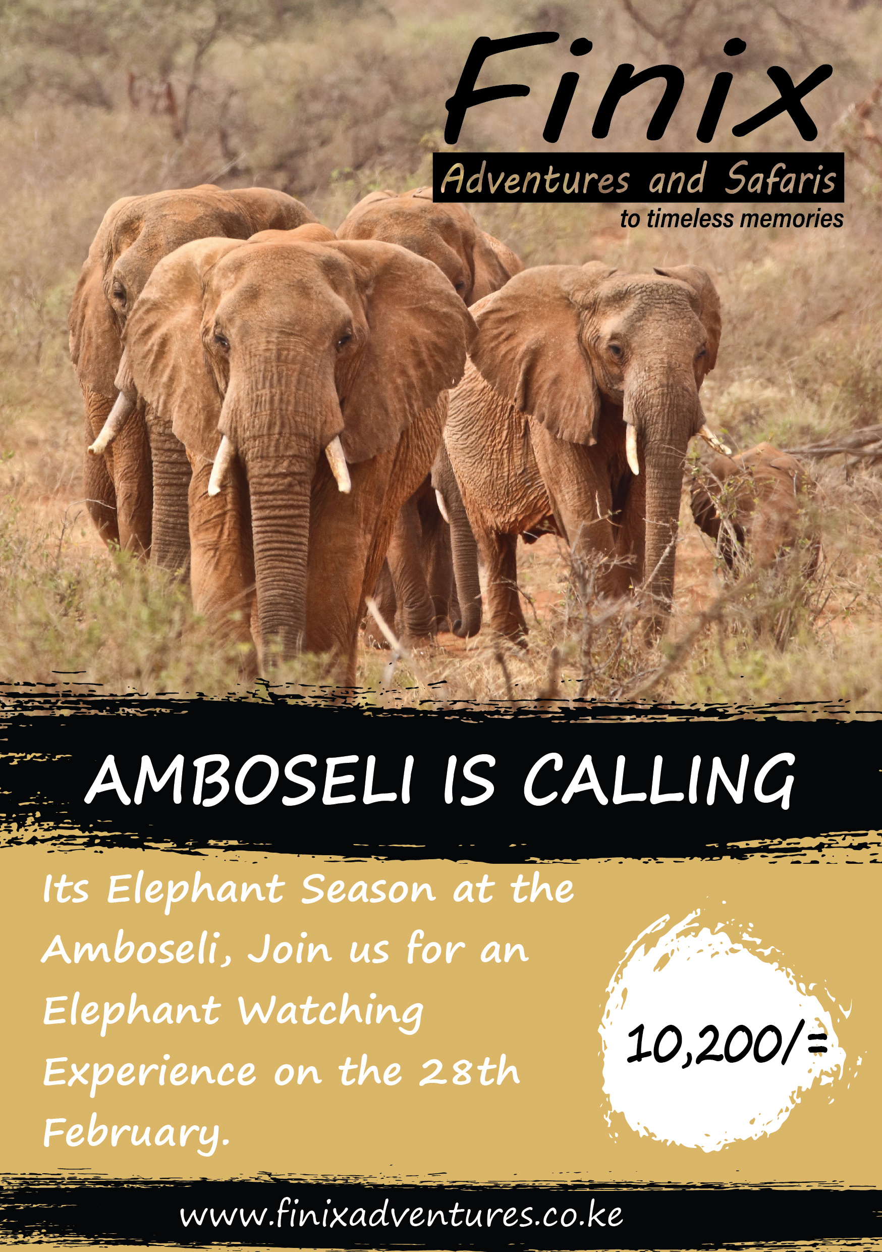 Amboseli Safari